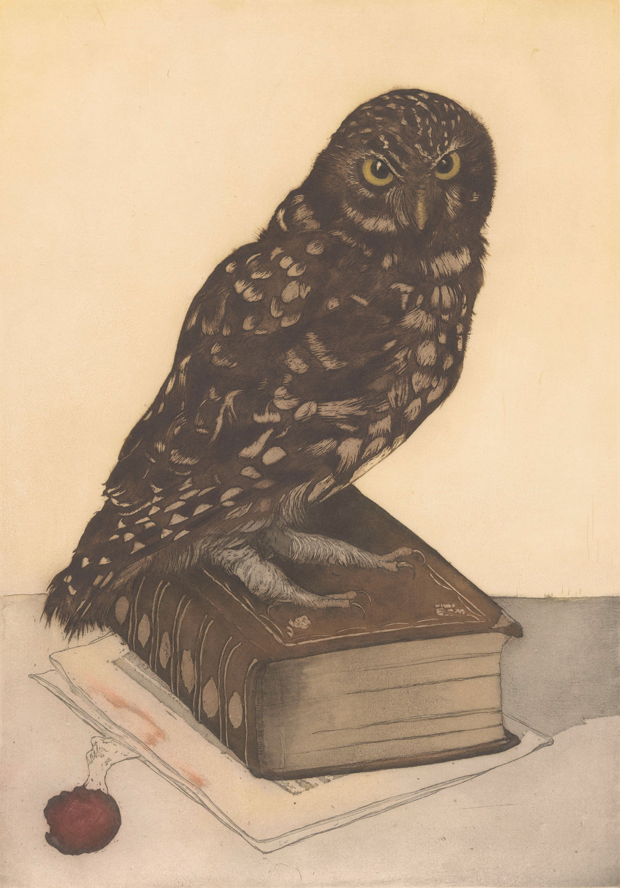 Owl sitting on a book, etching by Frans Everbag, c. 1900.