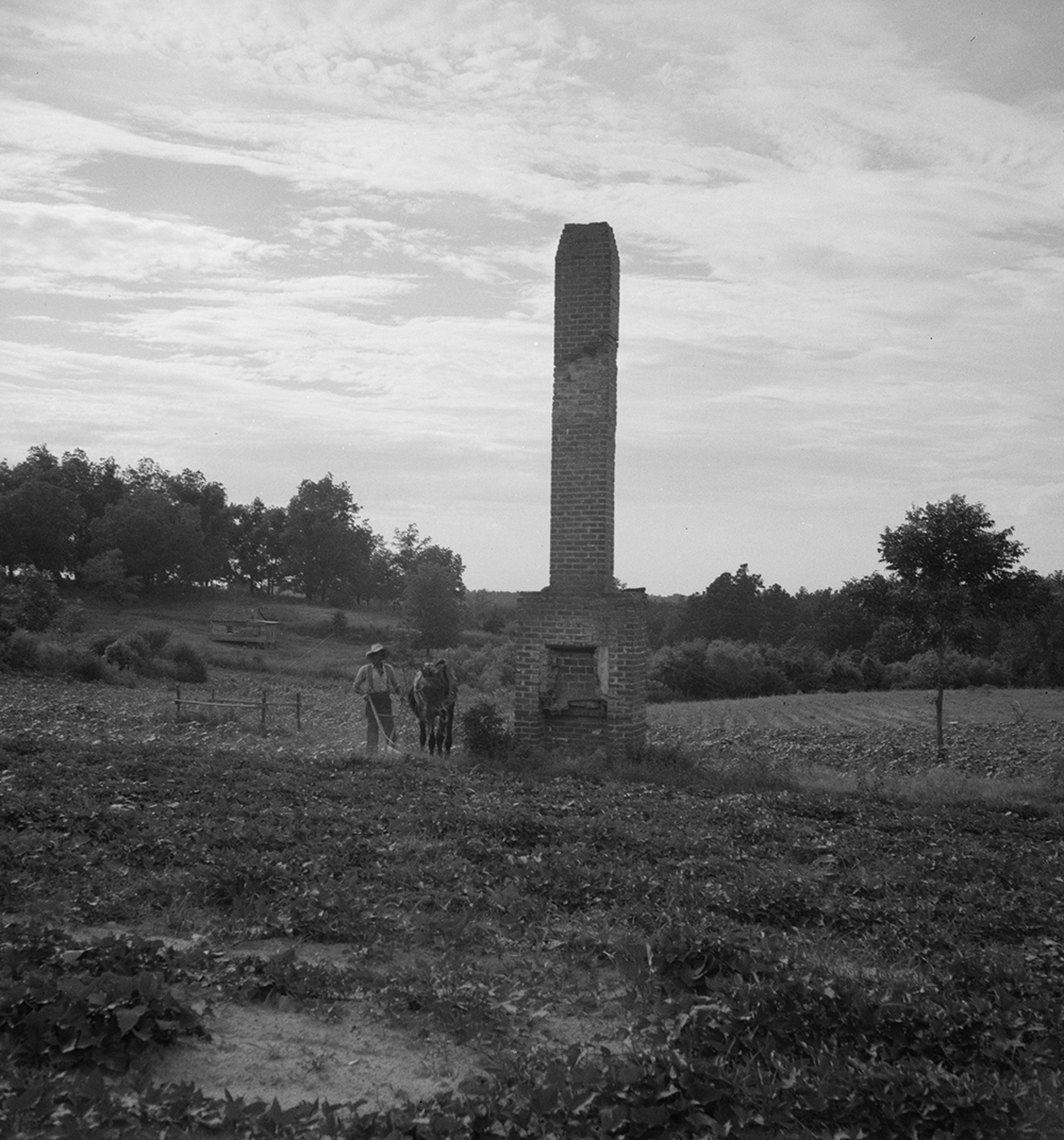 Standing chimneys at former plantation in Greene County, Georgia, 1937. Photograph by Dorothea Lange. Library of Congress, Prints and Photographs Division.