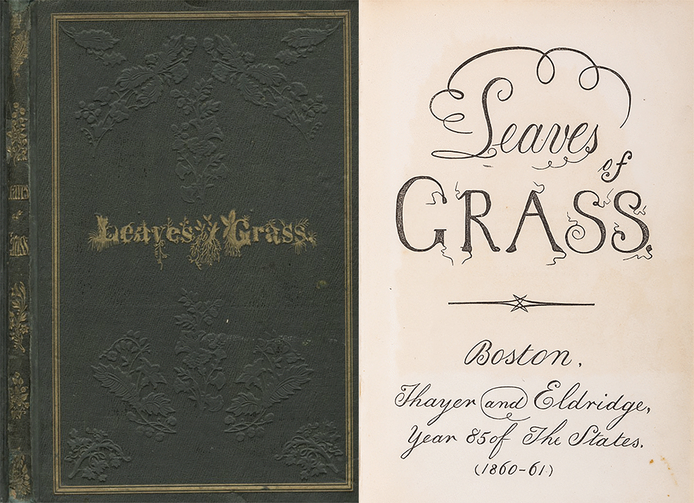 The 1855 forest-green cloth cover of Leaves of Grass, with the title appearing in gold-stamped letters drawn by hand to give the effect of plants shooting up from long dangling roots, echoes the figurative uses of hair in Leaves. The title page for the 1860 edition of Leaves features curls extending above and below the word Leaves alongside squiggles Ed Folsom has characterized as a “spermatoid design” permeating the third edition. American Antiquarian Society.