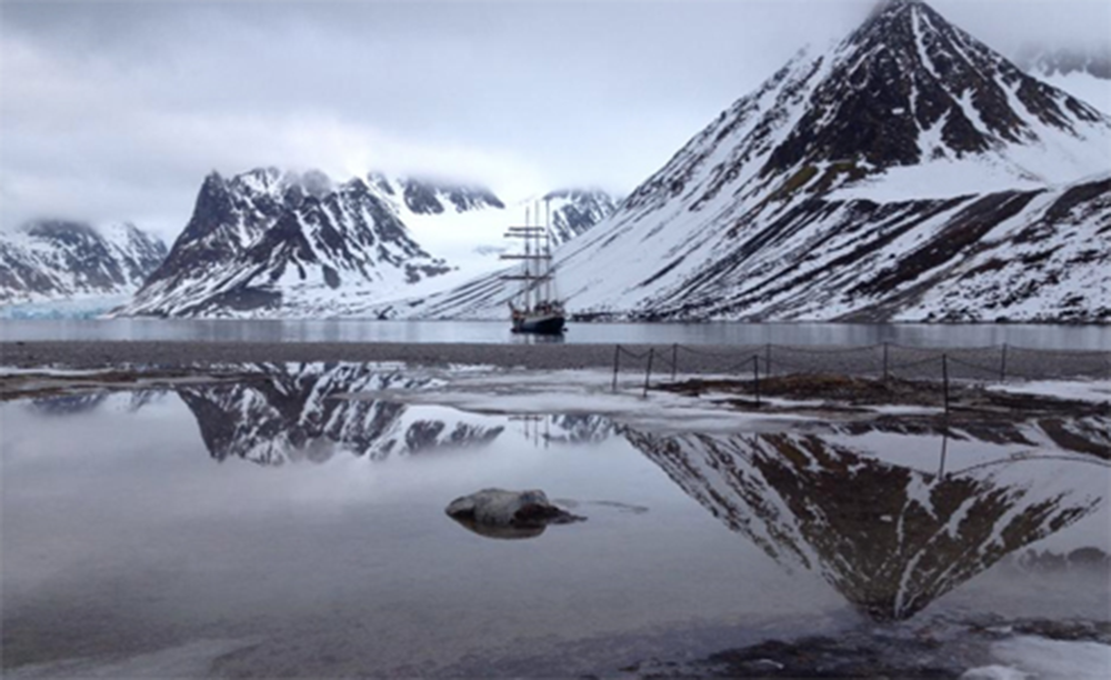  The bay of Magdalenafjord, 2013. Photograph by Colin Dickey.