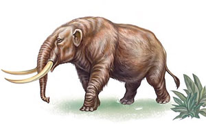 Drawing of a mastodon