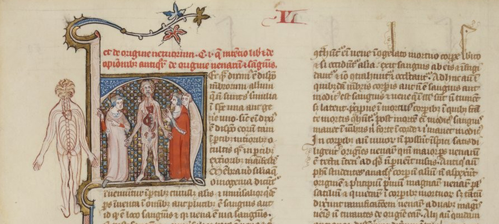 Illustration from De Animalibus, by Albertus Magnus, c. 1300. Bibliothèque nationale de France.