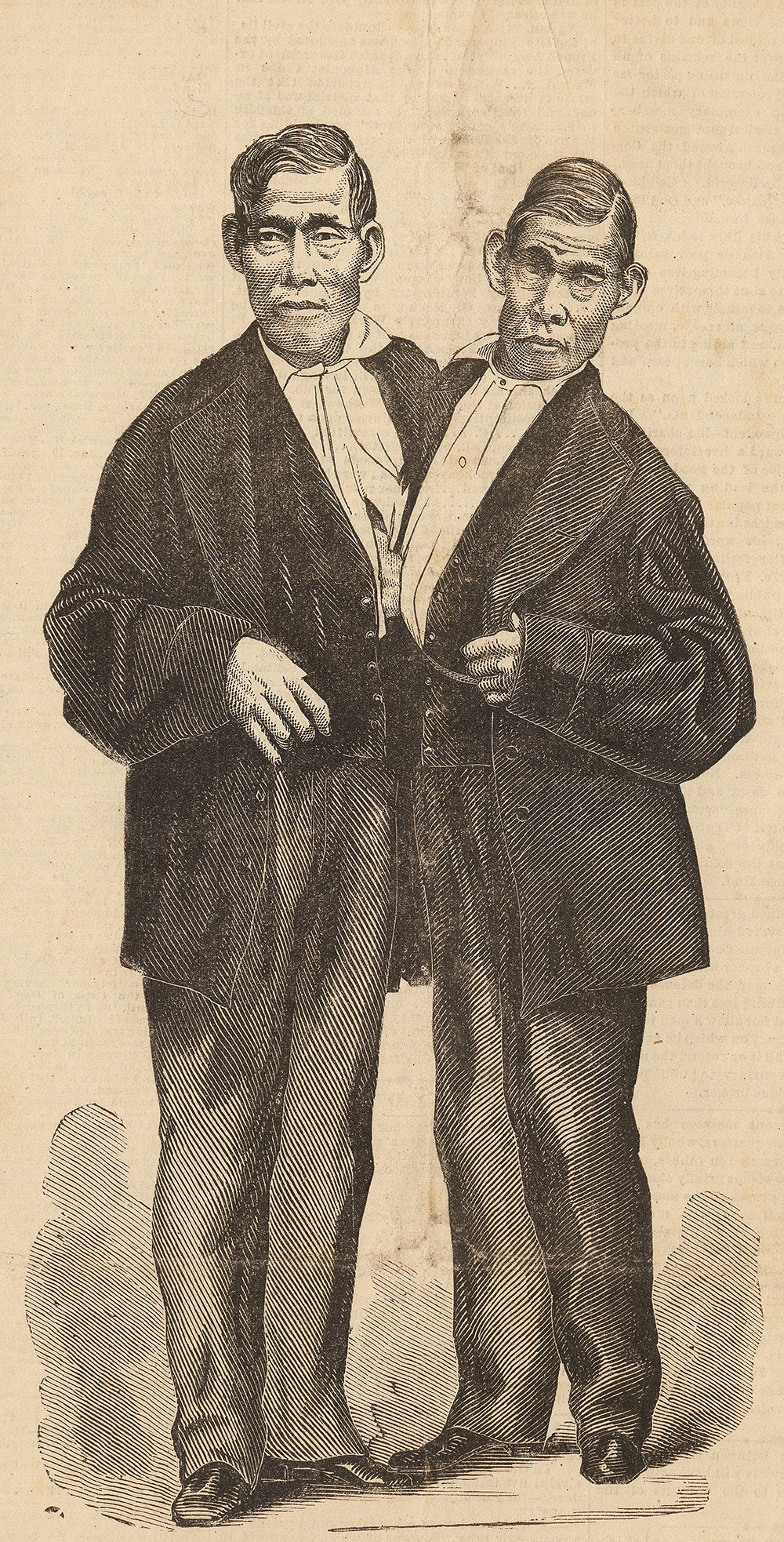 “The Siamese Twins—Eng and Chang,” 1874. The New York Public Library, Billy Rose Theatre Division.