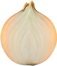 Half of an onion.