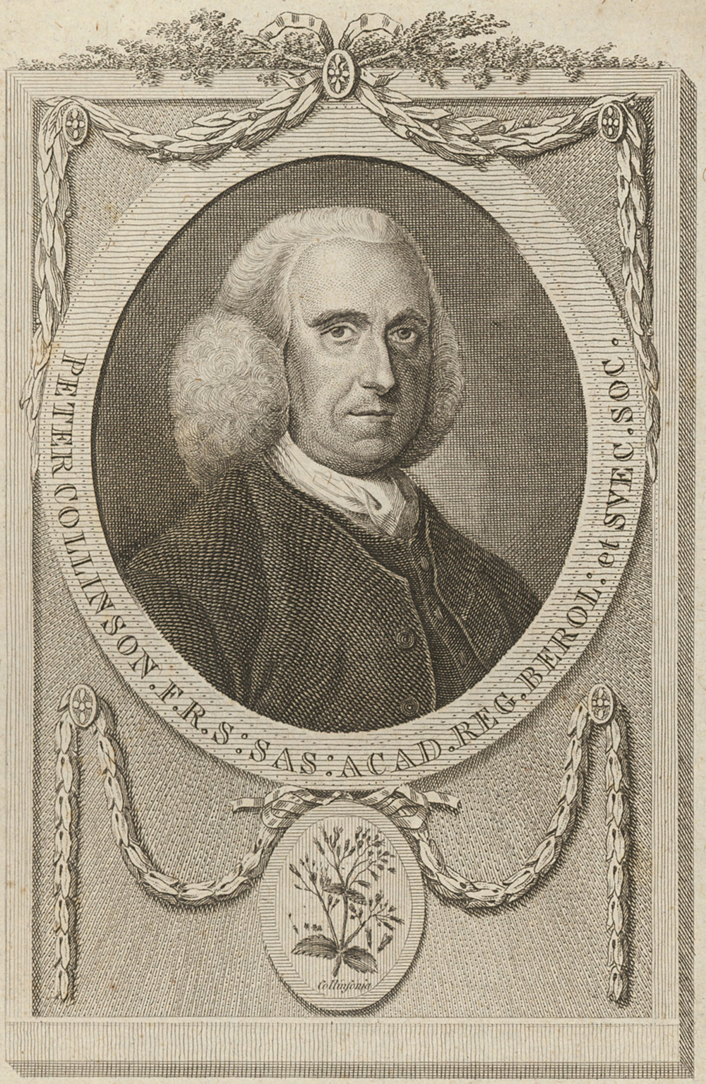 Peter Collinson, by T. Trotter, eighteenth century.