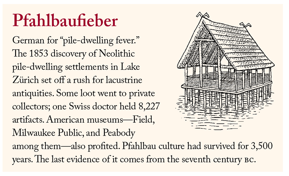 Pfahlbaufieber: German for “pile-dwelling fever.” The 1853 discovery of Neolithic pile-dwelling settlements in Lake Zürich set off a rush for lacustrine antiquities. Some loot went to private collectors; one Swiss doctor held 8,227 artifacts. American museums—Field, Milwaukee Public, and Peabody among them—also profited. Pfahlbau culture had survived for 3,500 years. The last evidence of it comes from the seventh century BC. Illustration by Christopher Brian King.