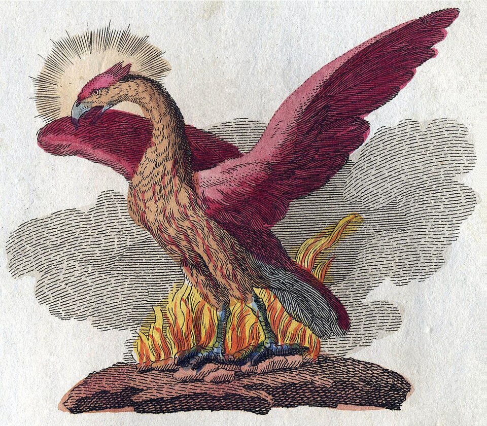 Illustration of a phoenix from Bilderbuch für Kinder, by Friedrich Justin Bertuch, 1806. Wikimedia Commons.