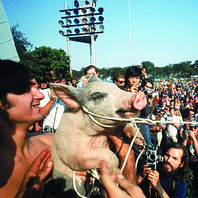 Photograph of a pig at the center of a crowd outdoors.