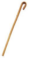 Rattan cane