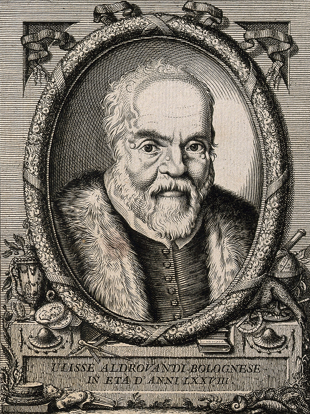 Ulisse Aldrovandi.