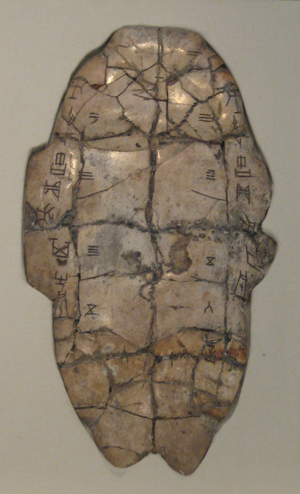Tortoise plastron with divination inscription.