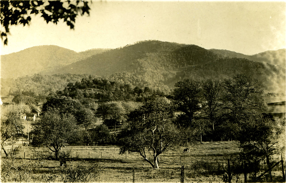 View from Shelton property, looking southeast down Pigeon Road toward Fitzgerald lands. Haywood County Public Library, History Collection.