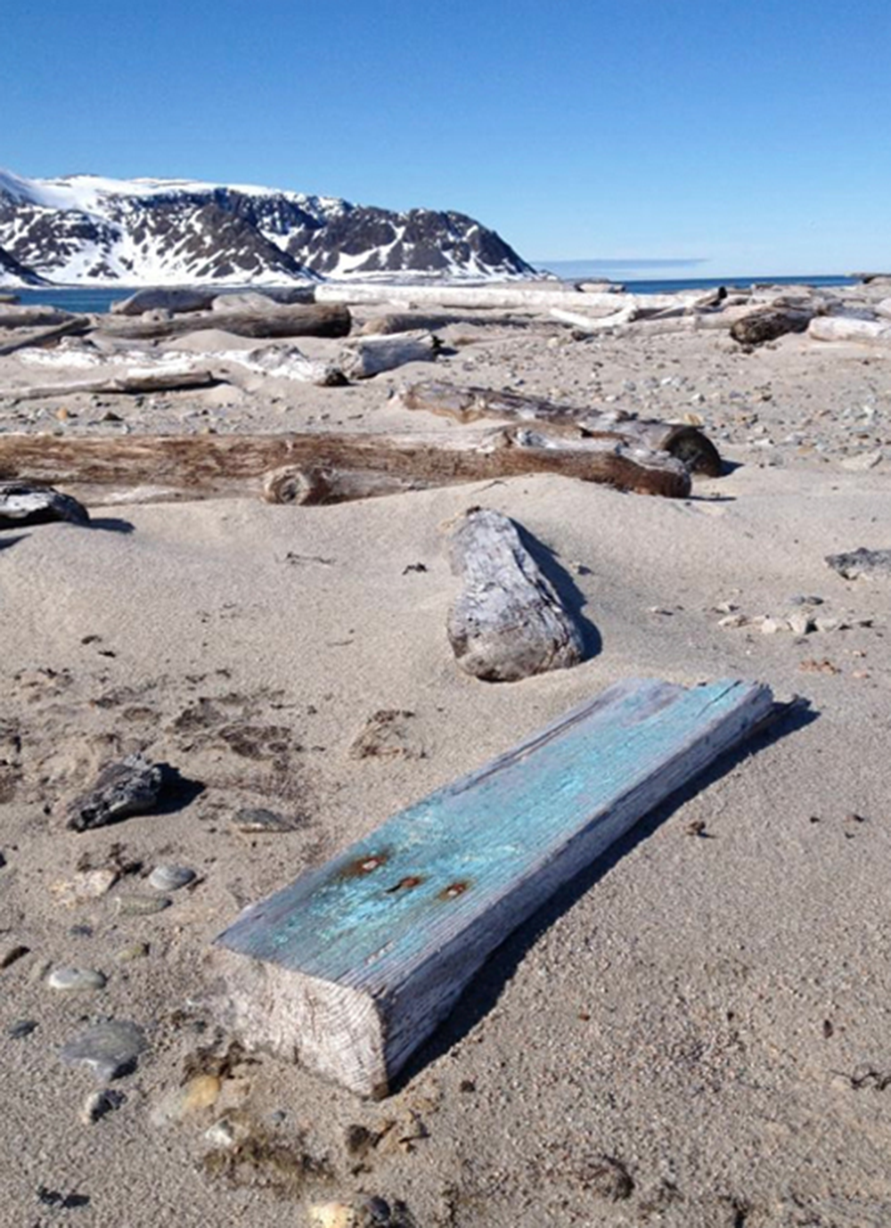 Driftwood in Smeerenburg, 2013. Photograph by Colin Dickey.