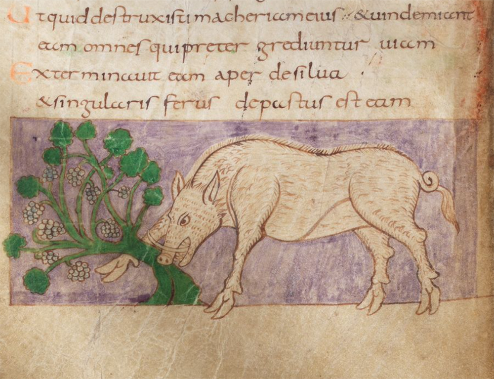 Psalm 80:13: “The boar from the woods has destroyed [the vine] and the singular beast has devoured it.” This illustrated psalter, known as the Stuttgart Psalter after its current home, was made at the monastery of Saint-Germain-des-Prés in Paris in 820–30.