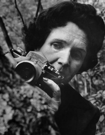 Photograph of Rachel Carson