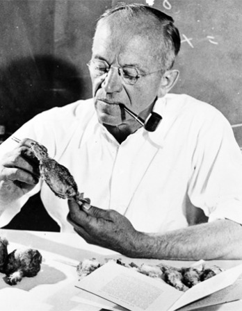 Photograph of American environmentalist Aldo Leopold.