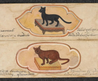 Treatise on Cats