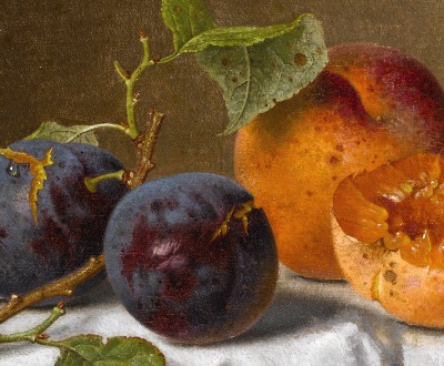 Plums and Apricots, by Emilie Preyer (1849-1930), date unknown.