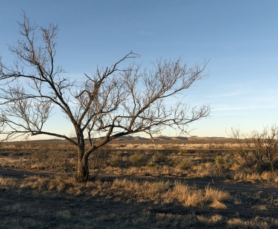 Midwinter rural scene in far-west Texas. February 15, 2014. Carol M. Highsmith. The Library of Congress.