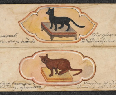 Treatise on Cats