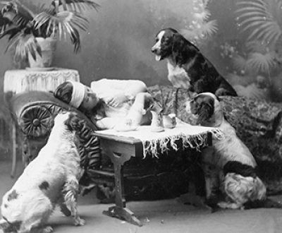 Woman, who appears to be ill, lying on couch, with three dogs looking on, c. 1903.