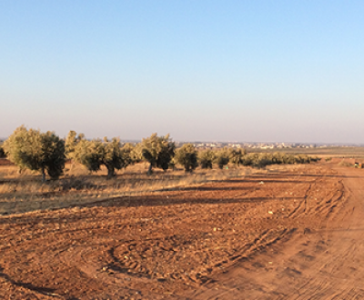 A view of Dara’a, Syria, from al-Ramtha, Jordan, 2014. Photograph by Rana B. Khoury.