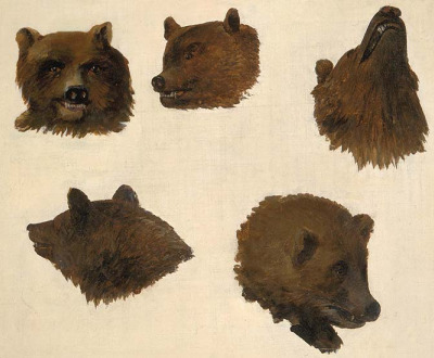Portraits of Two Grizzly Bears, from Life, by George Catlin, c. 1839.
