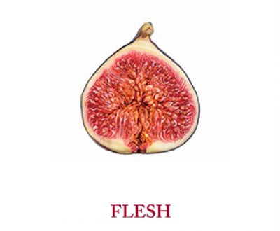 Flesh, the fall 2016 issue of Lapham’s Quarterly.