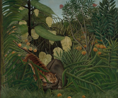 Fight Between a Tiger and a Buffalo