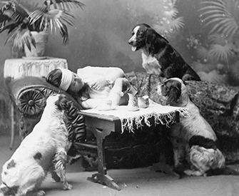 Woman, who appears to be ill, lying on couch, with three dogs looking on, c. 1903.