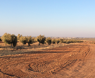 A view of Dara’a, Syria, from al-Ramtha, Jordan, 2014. Photograph by Rana B. Khoury.