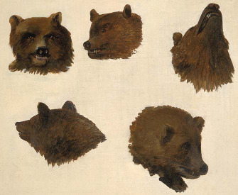 Portraits of Two Grizzly Bears, from Life, by George Catlin, c. 1839. Smithsonian American Art Museum. Portraits of Two Grizzly Bears, from Life, by George Catlin, c. 1839.