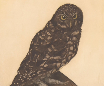 Owl sitting on a book, etching by Frans Everbag, c. 1900.