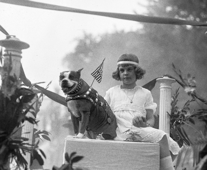 Sgt. Stubby shares a float with Miss Louise Johnson for an animal parade down Washington D.C.'s Pennsylvania Avenue in 1921.