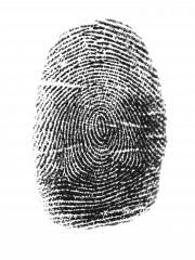 Image of thumbprint