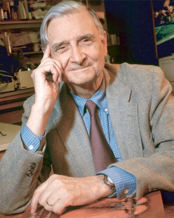 Photograph of American biologist Edward O. Wilson.