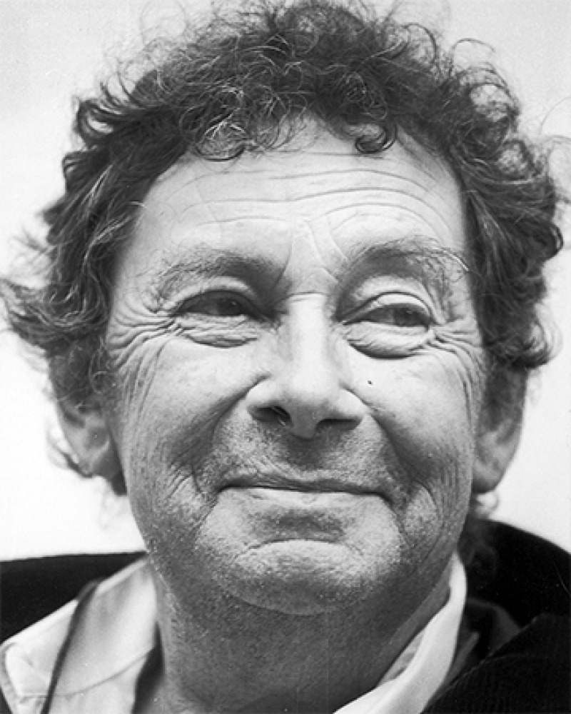 Swiss traveler and writer Nicolas Bouvier.
