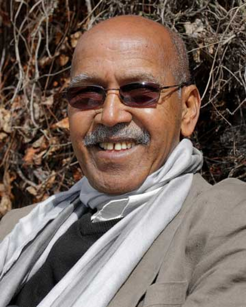 Smiling man with a mustache wearing sunglasses and a scarf