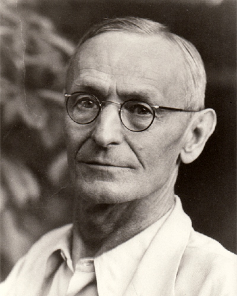 Black and white photograph of German writer Hermann Hesse.