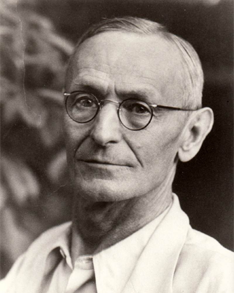 Hermann Hesse Black and white photograph of German writer Hermann Hesse.