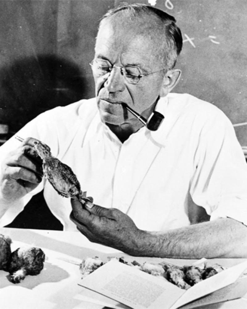 Photograph of American environmentalist Aldo Leopold.