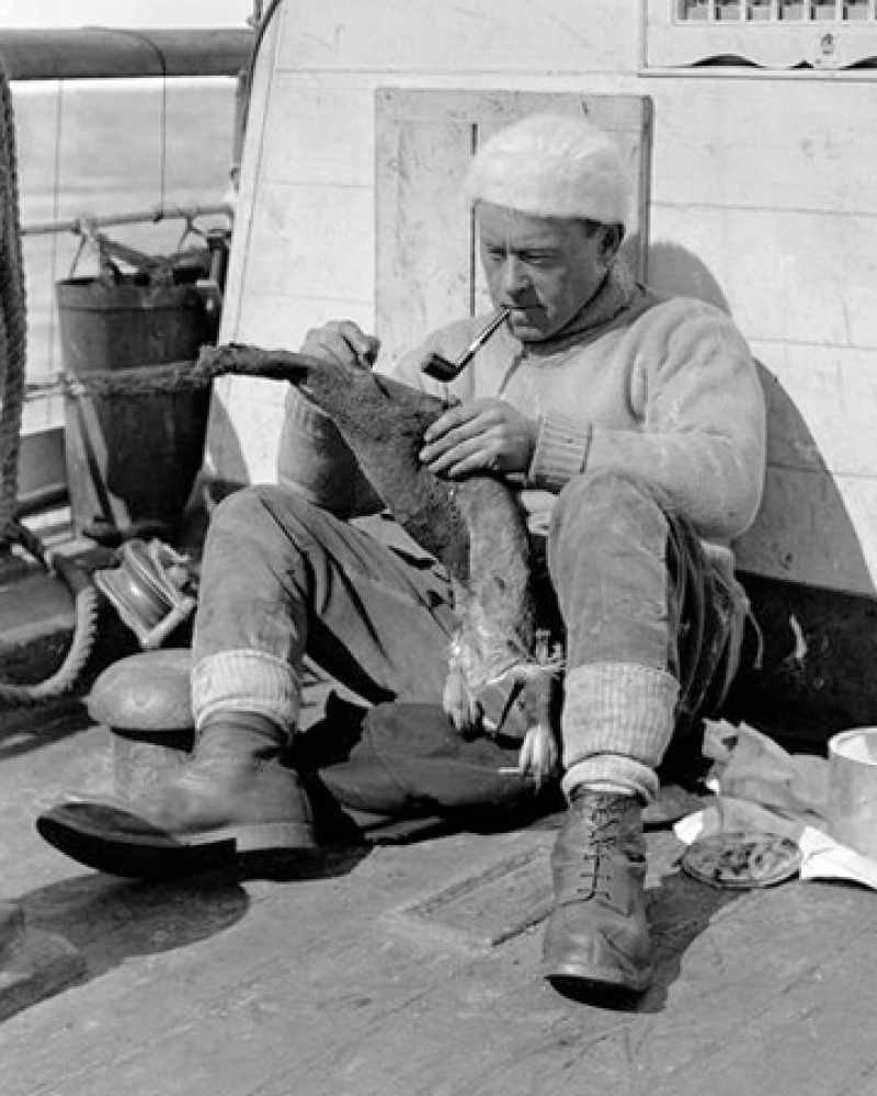 Photograph of British explorer and surgeon G. Murray Levick.