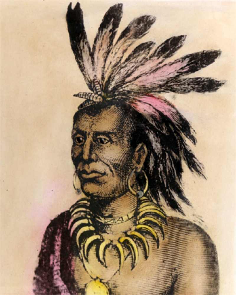 Depiction of chief of the Miami tribe Little Turtle.