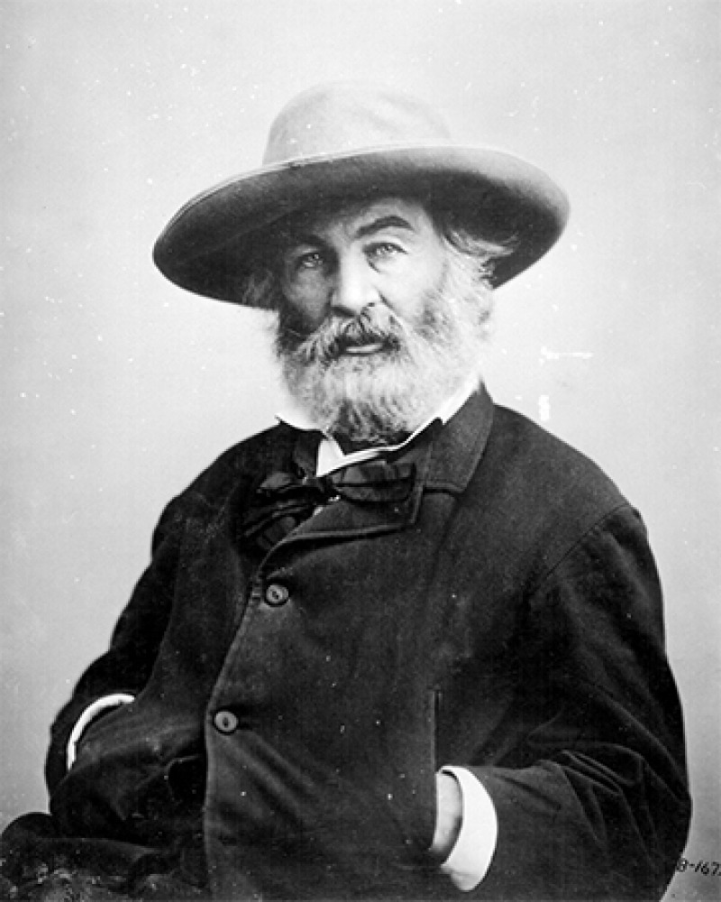American poet, journalist, and essayist Walt Whitman.
