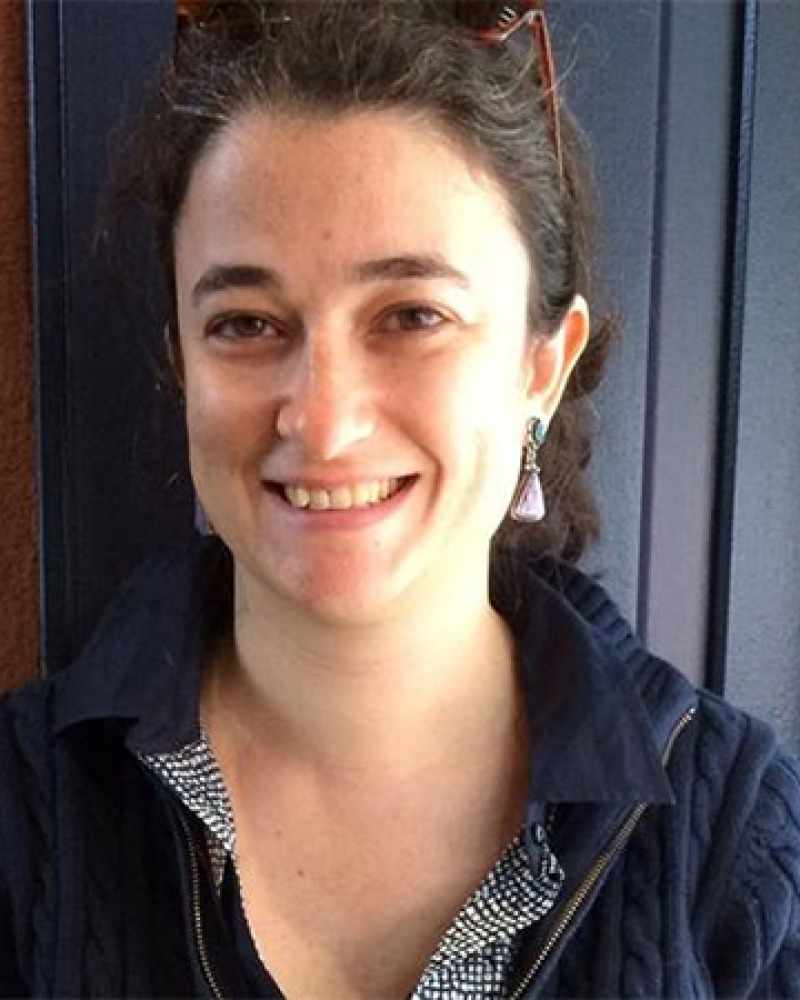 Author, editor, and teacher Brook Wilensky-Lanford.