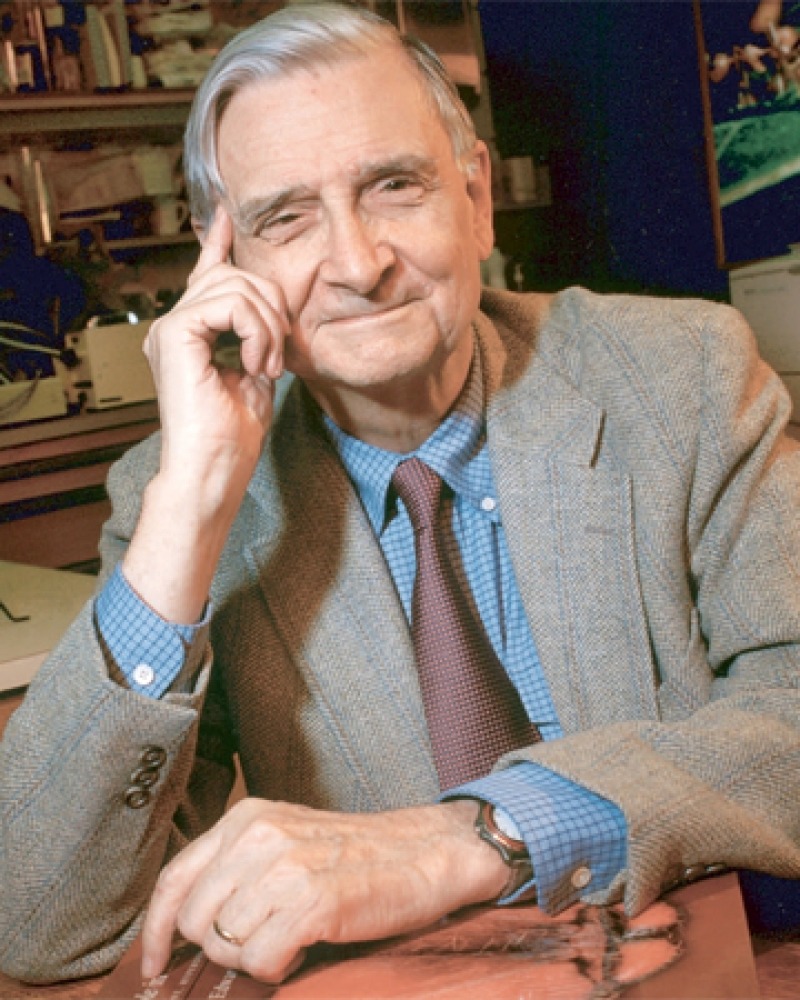 Photograph of American biologist Edward O. Wilson.