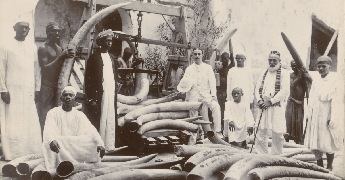 Trade Zanzibar Lapham’s Quarterly