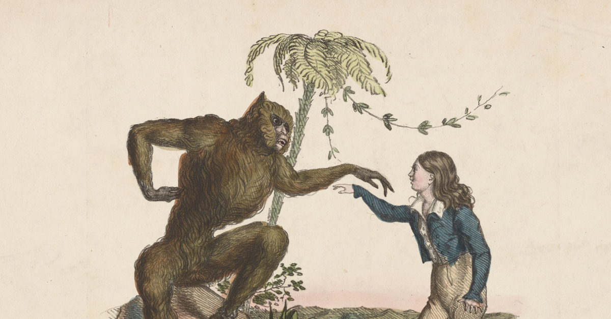 The monkey in the mirror — Genetics Unzipped