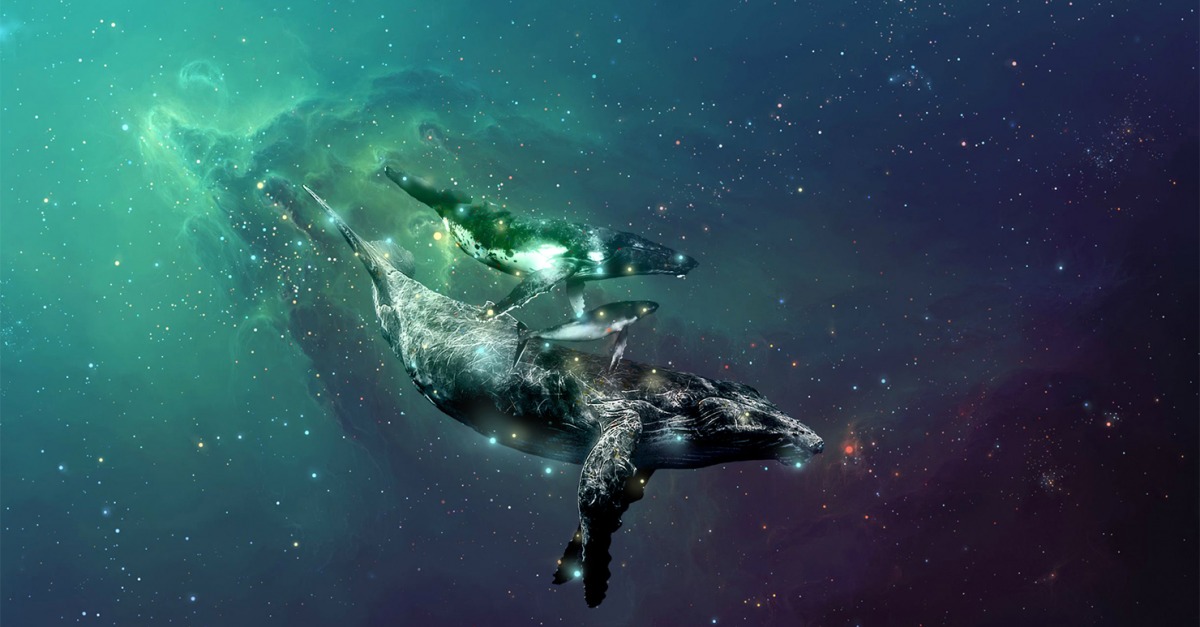 The Fantastical Allure of the Space Whale  Lapham's Quarterly