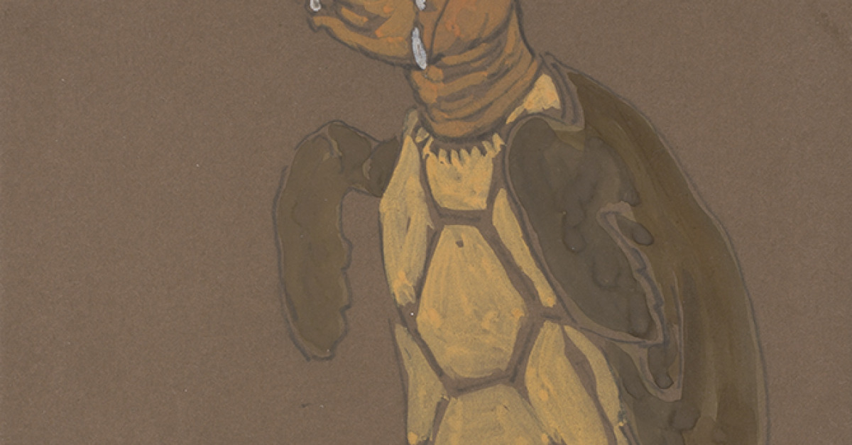 Is a Turtle an Animal or a Fish? | Lapham’s Quarterly